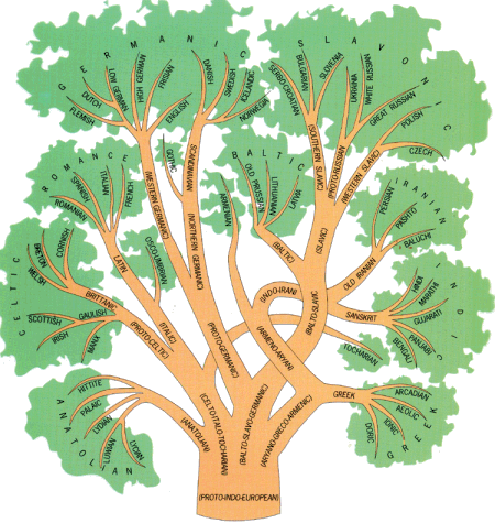 The Indo-European language family tree